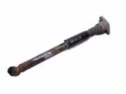 Stoßdämpfer hinten links AUDI A6 Avant (4F5, C6) 2.0 TFSI 4F0513032AE