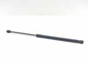 Stoßdämpfer links hinten Ford EcoSport () CN15N400A12BA