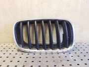 Vorderer oberer Gitter BMW X5 (E70) 3.0 d 7171396 51137171396