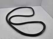 Türdichtung vorne rechts AUDI A1 Sportback (GBA) 30 TFSI