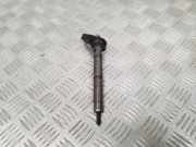 Einspritzdüse AUDI A4 (8K2, B8) 2.7 TDI 059130277AP