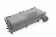 Luftfilterkasten PEUGEOT RCZ 1.6 16V 758368005