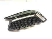 Gitter vorne unten BMW 5 (G30) 530 d 010Z9091