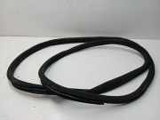 Türgummi rechts vorne Mercedes-Benz C-Klasse (W204) A2046971051