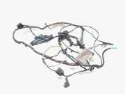 Türverkabelung hinten links BMW X5 (E70) xDrive 30 d 9243552