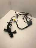 Kabel Tür vorne rechts AUDI A4 (8K2, B8) 2.0 TDI 8K0971729AA