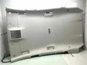 Dachverkleidung FORD FOCUS IV (HN) 1.0 EcoBoost JX7BN51916