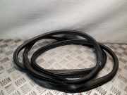 Türgummi rechts vorne Nissan Juke (F15)