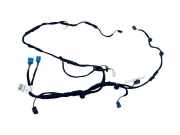 Kabel Tür vorne rechts MERCEDES-BENZ S (W222, V222, X222) S 350 BlueTEC / d (222.132, 222.032, 222.123) A2225402404