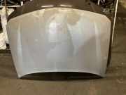 Motorhaube RENAULT LAGUNA III (BT0/1) 2.0 dCi (BT08, BT0K, BT0J, BT14, BT1A, BT1D)