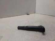 Hochspannungszündkabel (Steckkabel) CITROËN C5 II (RC_) 1.8 16V (RC6FZB) 9671214580 28211913