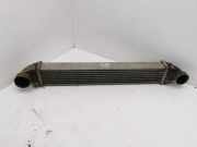 Ladeluftkühler Mercedes-Benz B-Klasse Sports Tourer (W245) A1695000000