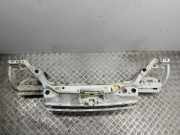 Zier-/Schutzleistensatz für Kühlergitter Ford Transit Connect (P*2)