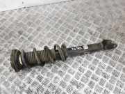 Stoßdämpfer vorne rechts