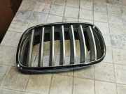 Vorderer oberer Gitter BMW X6 (E71, E72) xDrive 35 d