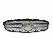 Vorderer oberer Gitter MERCEDES-BENZ C T-Model (S205) AMG C 43 4-matic (205.264) A2058800783
