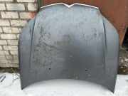 Motorhaube CITROËN C5 III (RD_) 2.0 16V