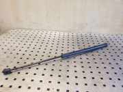 Heckklappe Gasdruckfeder links BMW X1 (E84) sDrive 18 d 2990136 51242990136