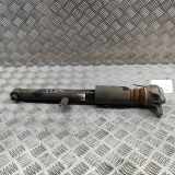 Stoßdämpfer hinten links