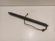 Heckklappe Gasdruckfeder rechts AUDI A5 (F53) 2.0 TFSI 8W8827851C