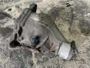 Differenzialgetriebe hinten MERCEDES-BENZ E (W212) E 200 CDI / BlueTEC (212.005, 212.006)