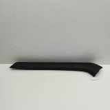 Armaturenbrett Verkleidung