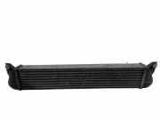 Ladeluftkühler Suzuki SX4 (EY, GY) 1362079J51