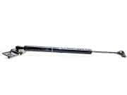 Türfeststeller BMW 7er (F01, F02, F03, F04) 7177616