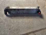 Ladeluftkühler RENAULT TRAFIC III Furgon (FG_) 1.6 dCi 90 93868349