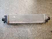 Ladeluftkühler Fiat Doblo Kasten (223) 866455506