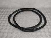 Türdichtung Opel Antara (L07)