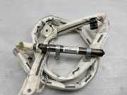 SRS Modul Dach links AUDI A8 D3 (4E2, 4E8) S8 quattro 4H4880742 4H4880742D