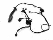 Kabel Tür Audi Q5 (8R) 8R0971688B