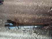 Einspritzdüse VOLVO V60 D3 / D4 31303238