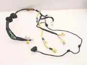 Kabel der vorderen linken Tür