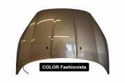 Motorhaube FORD FIESTA VI 1.0 Sport PC1BBA16610AB
