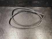 Türgummi links vorne Nissan Murano II (Z51)