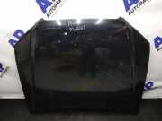 Motorhaube AUDI A4 (8EC, B7) 2.0 TFSI