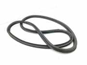 Dichtung für Koffer-/Laderaumklappe Citroen DS5 ()