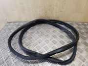 Türdichtung Nissan Juke (F15)