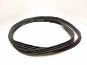 Türgummi links hinten Volvo V50 (545)