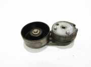 Generatorriemen des Spanners LAND ROVER DISCOVERY III (L319) 2.7 TD 4x4