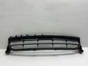Gitter vorne unten PORSCHE PANAMERA (970) 3.6 4 97050554110