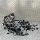 Kabelbaum AUDI Q4 Sportback (F4N) 40 e-tron TAB016490BE