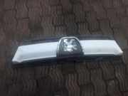 Vorderer oberer Gitter PEUGEOT BOXER Furgon (230L) 2.0 HDI 1304703070