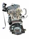 Motor ohne Anbauteile (Benzin) VW Passat B6 CC (357) BZB