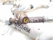 Airbag Dach rechts Nissan Pathfinder III (R51) 605245800C