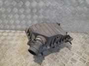Luftfiltergehäuse Opel Ampera (D1JOI) 4612585916