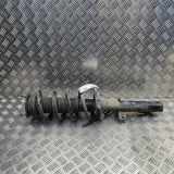 Stoßdämpfer vorne links FORD TRANSIT Furgon 2.0 TDCi [RWD] BK31-18045-ND