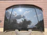 Motorhaube NISSAN PATHFINDER III (R51) 2.5 dCi 4WD